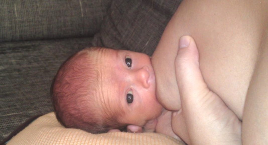 Stigli Pavel, Sven, Darla, Mark, Stela, Vita, Viktor, Lava, Sara, Luna, Rudi i Franka. Dobro došli! Stigli Pavel, Sven, Darla, Mark, Stela, Vita, Viktor, Lava, Sara, Luna, Rudi i Franka. Dobro došli!