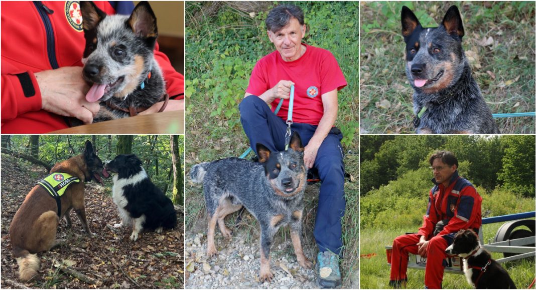 FOTO Preslatki pas Whispers i njegov vlasnik Neven Putar – Neno tragali za nestalim Vidovčanom FOTO Preslatki pas Whispers i njegov vlasnik Neven Putar – Neno tragali za nestalim Vidovčanom