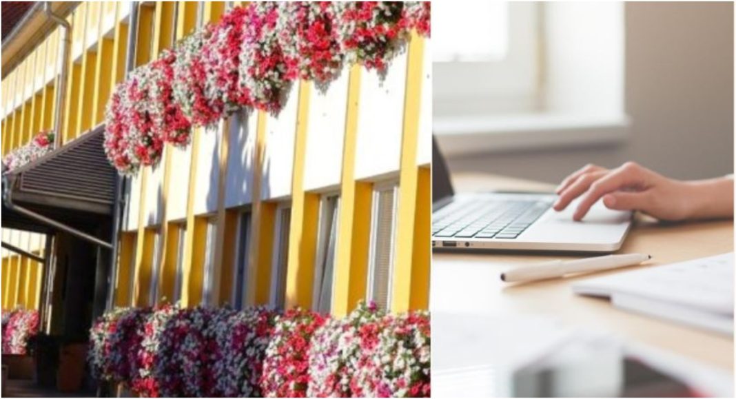 Međimurska županija zapošljava stručnjaka za međunarodnu suradnju, vođenje projekata i investicije Međimurska županija zapošljava stručnjaka za međunarodnu suradnju, vođenje projekata i investicije