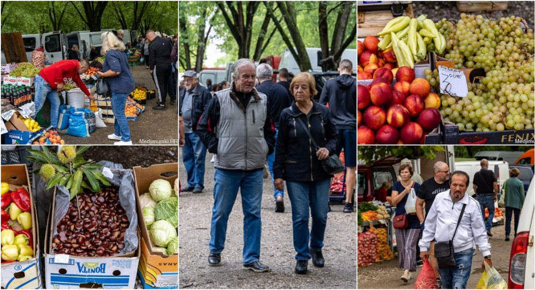FOTO Prvi kesteni od 7 do 10 eura kg, suhi grah po 5 eura kg, presadnice raznih zelenih salata po 0,40 eura komad… FOTO Prvi kesteni od 7 do 10 eura kg, suhi grah po 5 eura kg, presadnice raznih zelenih salata po 0,40 eura komad…