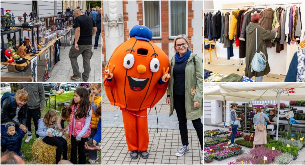 FOTO Druženje sa životinjama, sajam i buvljak: Centar Čakovca živnuo u jesenskom ruhu FOTO Druženje sa životinjama, sajam i buvljak: Centar Čakovca živnuo u jesenskom ruhu
