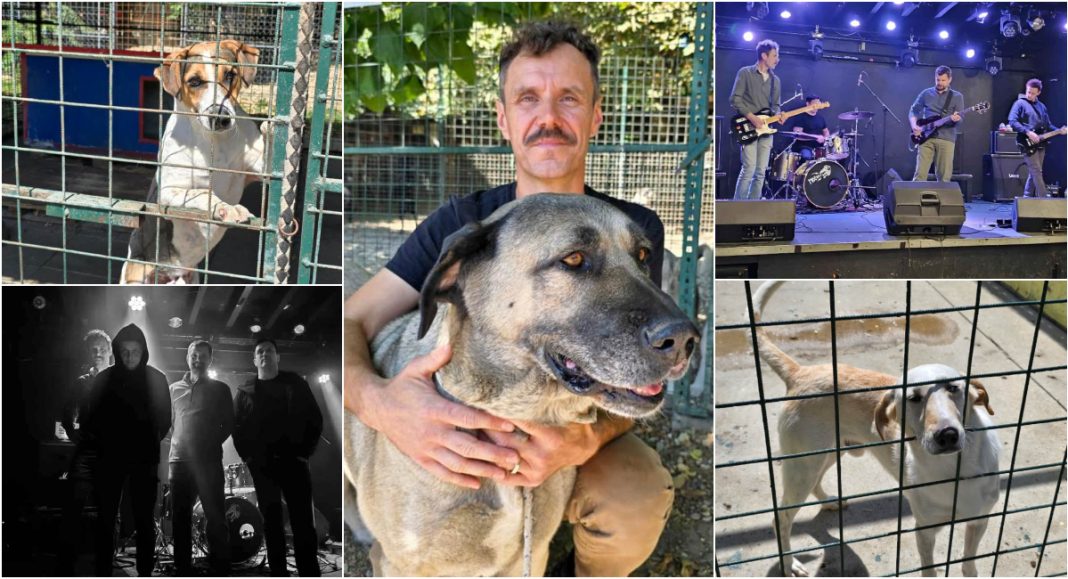 FOTO INTERVJU Bruno Bujanić, voditelj Skloništa za životinje Prijatelji i predsjednik ZEU Prijatelji životinja i prirode FOTO INTERVJU Bruno Bujanić, voditelj Skloništa za životinje Prijatelji i predsjednik ZEU Prijatelji životinja i prirode