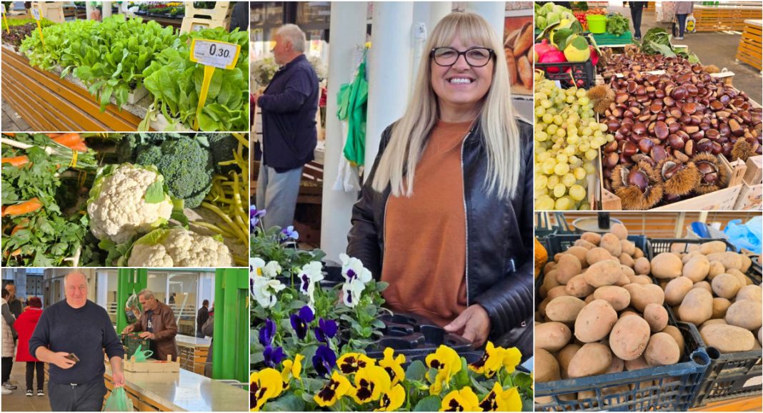 FOTO Cijene mahuna i mladog graha ne sviđaju se kupcima, ali domaći proizvođači poručuju: ‘Ne podcjenjujte naš rad!’ FOTO Cijene mahuna i mladog graha ne sviđaju se kupcima, ali domaći proizvođači poručuju: ‘Ne podcjenjujte naš rad!’