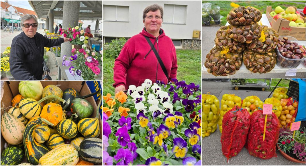 FOTO Jesenska ponuda na tržnici u Prelogu u znaku kestena, cvijeća i ukrasnih tikvica! FOTO Jesenska ponuda na tržnici u Prelogu u znaku kestena, cvijeća i ukrasnih tikvica!