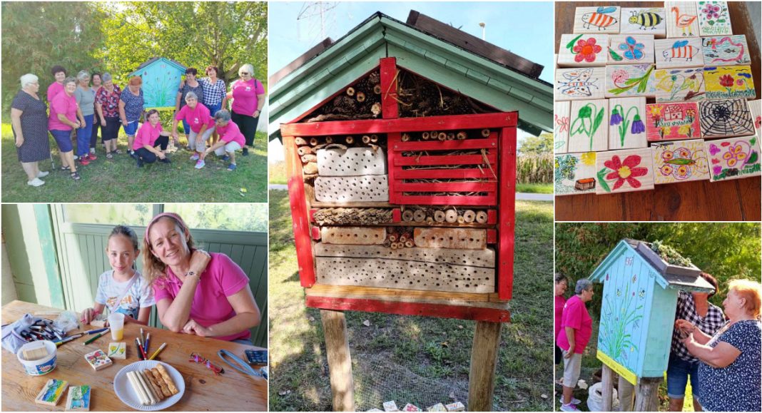 FOTO Eko akcija: U Donjem Mihaljevcu renoviran vrhunski hotel – za korisne i sićušne stanare! FOTO Eko akcija: U Donjem Mihaljevcu renoviran vrhunski hotel – za korisne i sićušne stanare!