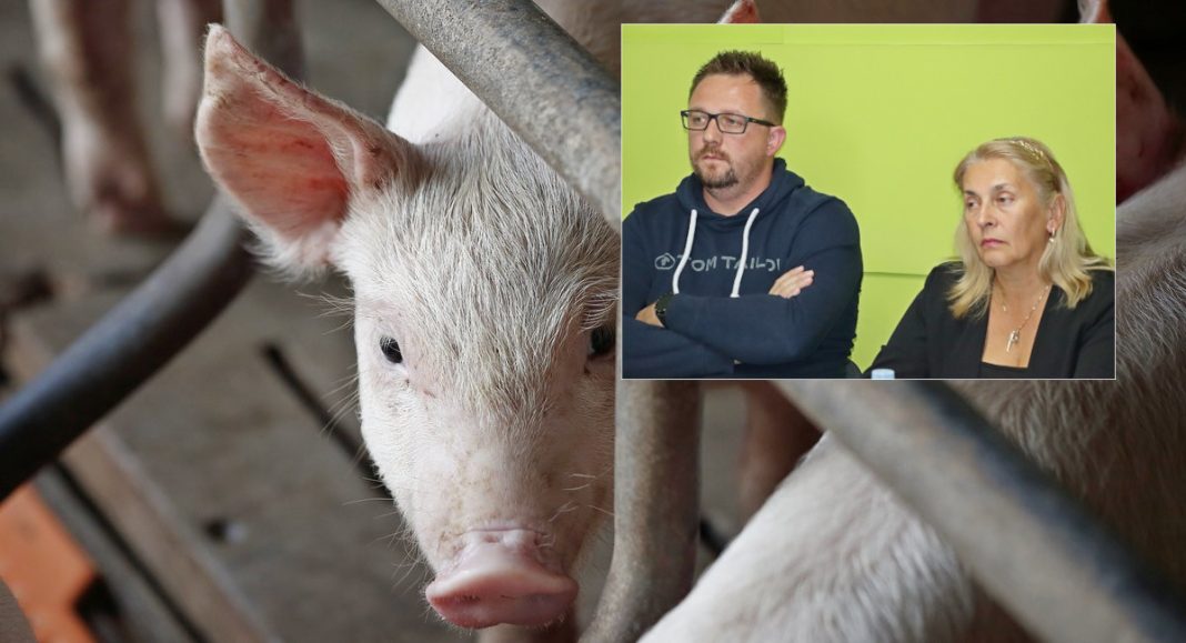 Inspekcija kaže da je sve u redu, a mještani Gardinovca već 10 godina jedva dišu od smrada! Inspekcija kaže da je sve u redu, a mještani Gardinovca već 10 godina jedva dišu od smrada!