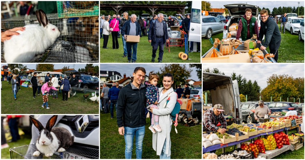 FOTO/VIDEO Na Sajmu malih životinja u Nedelišću može se vidjeti svašta, najviše radosti za djecu FOTO/VIDEO Na Sajmu malih životinja u Nedelišću može se vidjeti svašta, najviše radosti za djecu