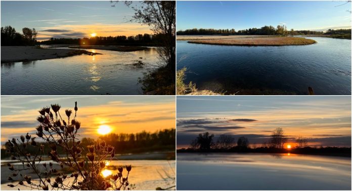 BeFunky-collage - 2025-10-09T085215.431
