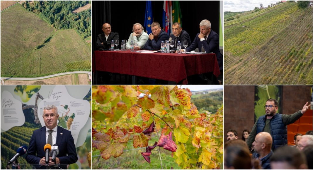 FOTO Vinogradari traže hitne mjere protiv širenja zlatne žutice vinove loze FOTO Vinogradari traže hitne mjere protiv širenja zlatne žutice vinove loze