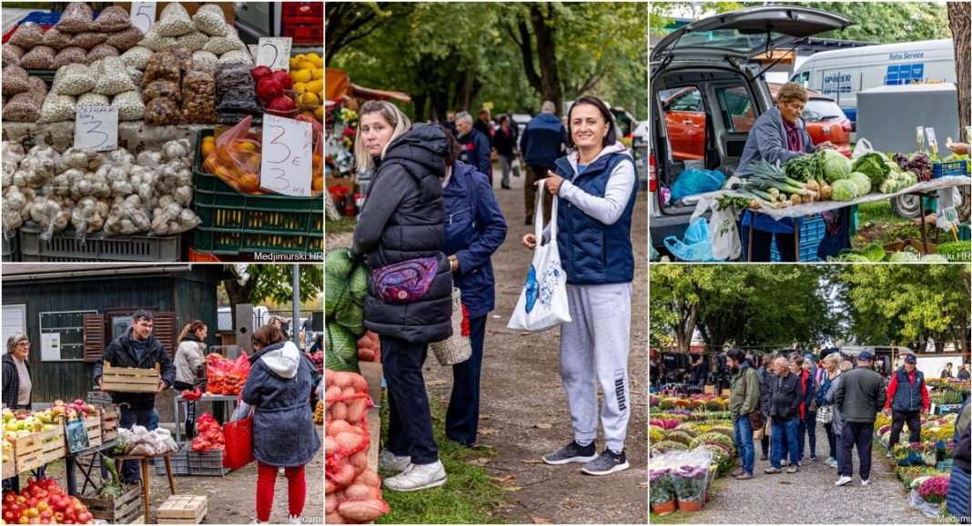 FOTO Suhi grah keber bajs je po 20 eura kg, sivček i zelenček po 18, a trešnjar i niski po 10 eura kg. Istina, bilo je i graha po 5 eura kg FOTO Suhi grah keber bajs je po 20 eura kg, sivček i zelenček po 18, a trešnjar i niski po 10 eura kg. Istina, bilo je i graha po 5 eura kg