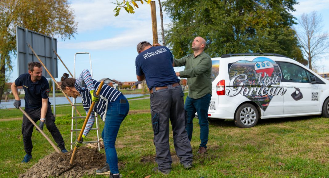 Općina Goričan: U parku Šuderica posađeno deset pitomih kestena Općina Goričan: U parku Šuderica posađeno deset pitomih kestena
