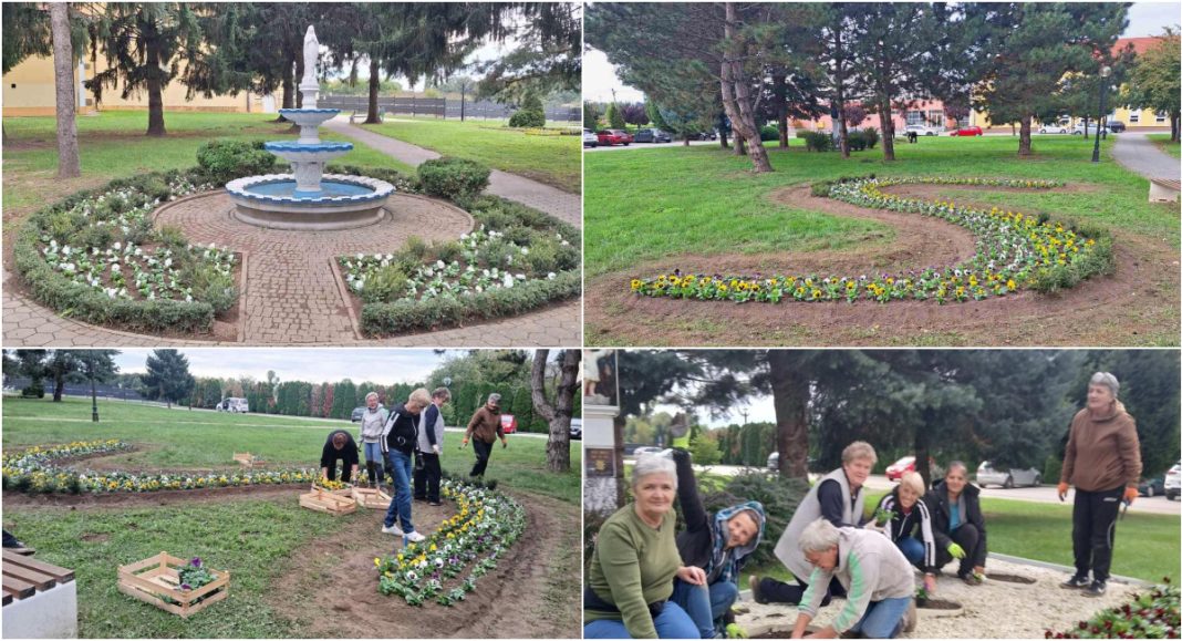 FOTO Jesensko uređenje Goričana: Posađeno 3700 sadnica cvijeća FOTO Jesensko uređenje Goričana: Posađeno 3700 sadnica cvijeća