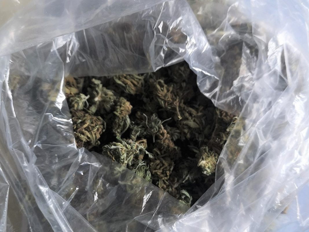 Policija u Vulariji pronašla više od šest kilograma marihuane, “speed” i oružje — kaznena prijava protiv 42-godišnjaka Policija u Vulariji pronašla više od šest kilograma marihuane, “speed” i oružje — kaznena prijava protiv 42-godišnjaka