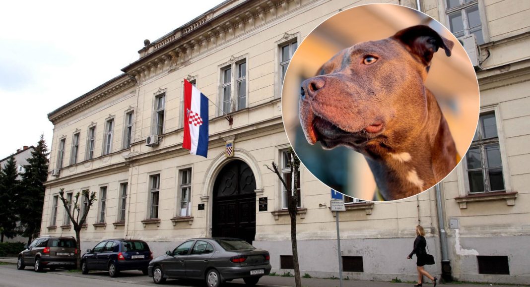 Opasan incident u Hodošanu: pas napao dijete, vlasniku samo 450 eura kazne Opasan incident u Hodošanu: pas napao dijete, vlasniku samo 450 eura kazne