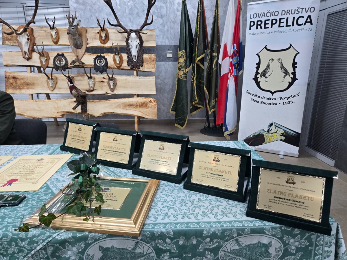 20251129 162751 copy 1600x1200