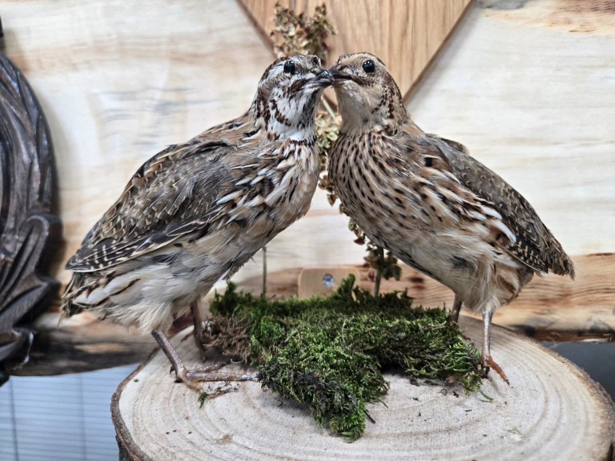 20251129 171215 copy 1600x1200