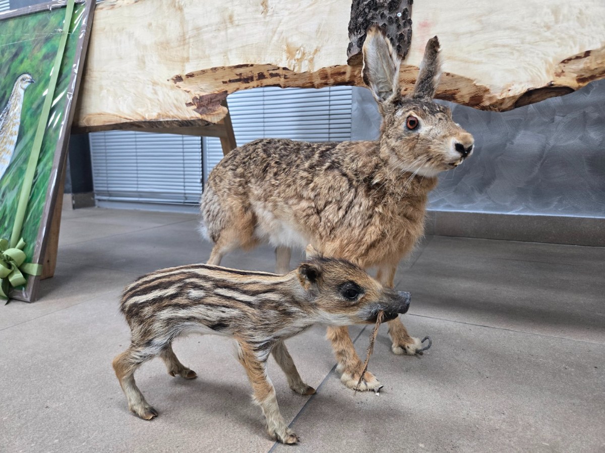 20251129 171223 copy 1600x1200