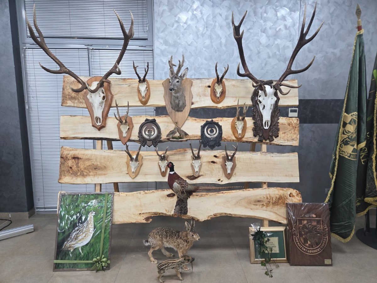 20251129 171234 copy 1600x1200