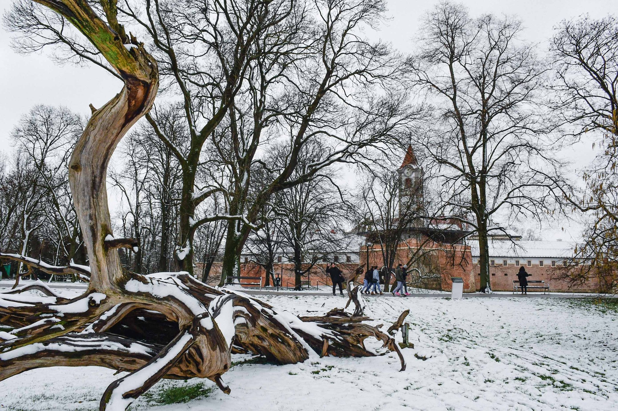 476610994 1030020959151907 6465755397755536285 n