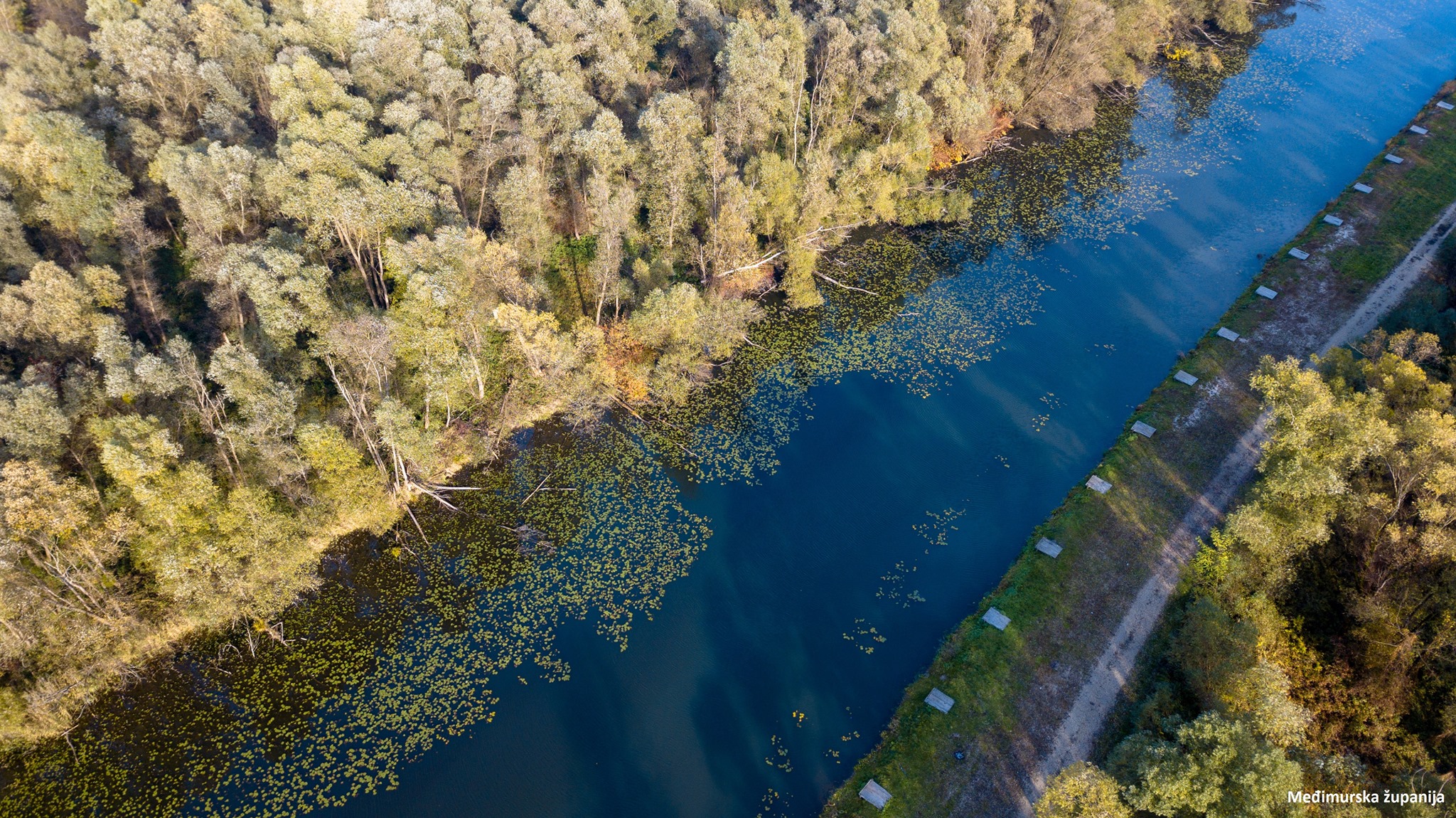 481902161 29451871831066797 3752850232274998275 n