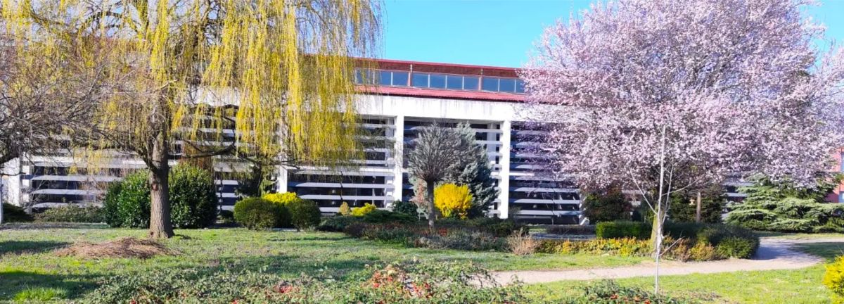 583643252 1462436742309719 123280355164922332 n