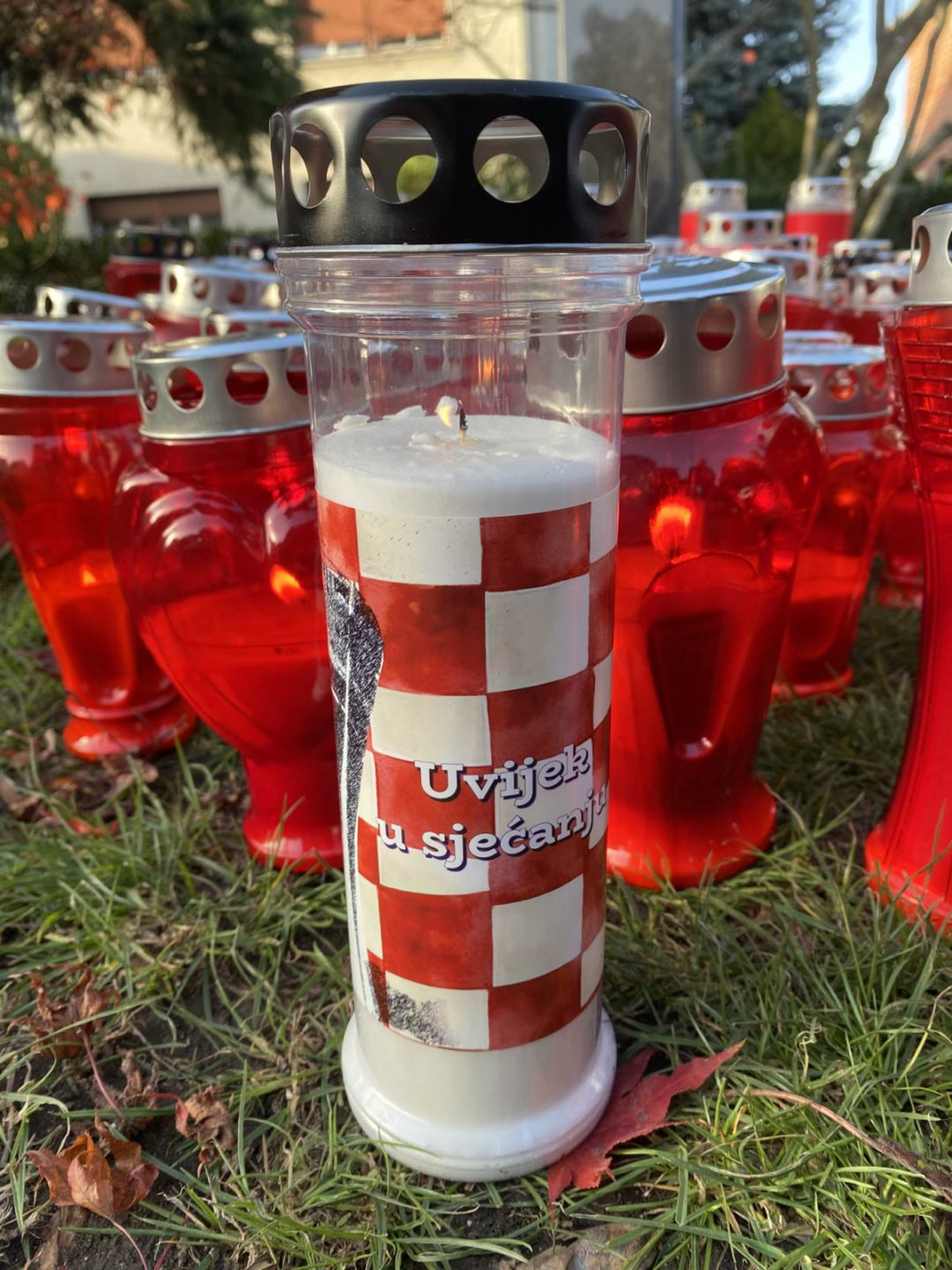 584053187 1629058788549196 2981928089595520878 n result