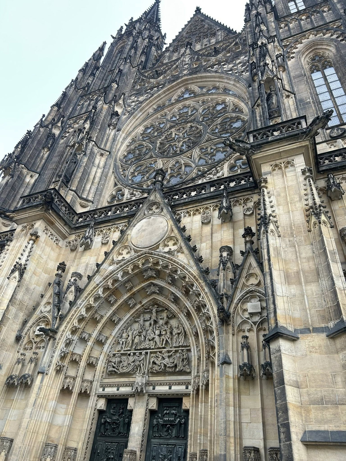 584056751 1282350080597389 6677318326791938048 n result