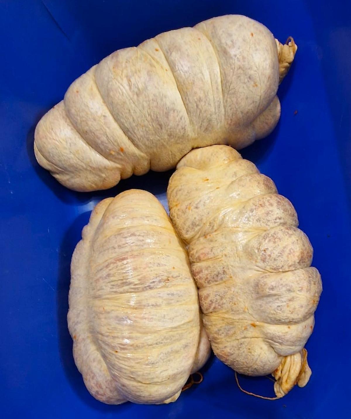 584757772 10225226131120639 8335006945004154009 n