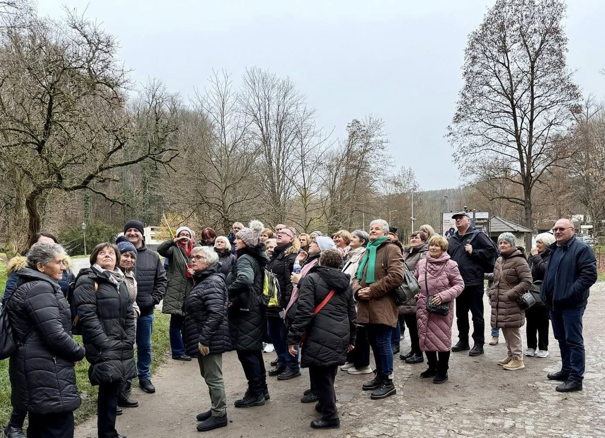 584988119 1282349597264104 3195760471165060804 n result