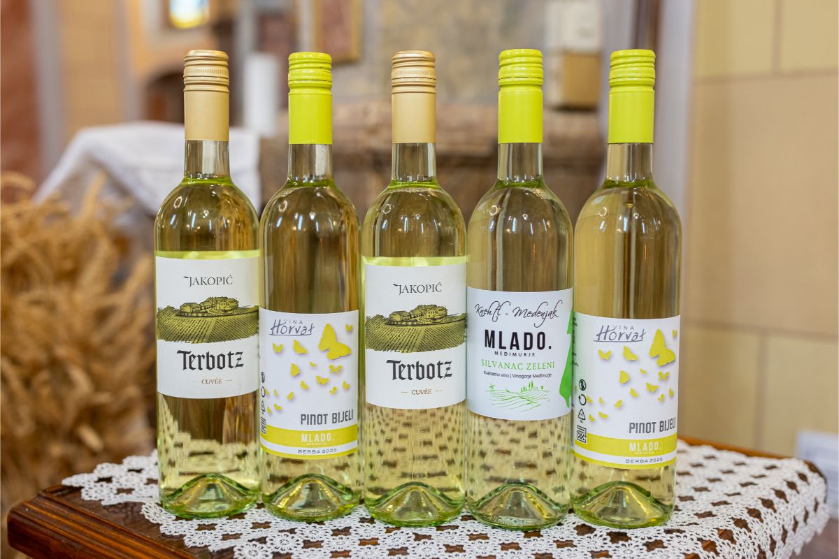 585317677 1288256370007710 6292681635365568882 n