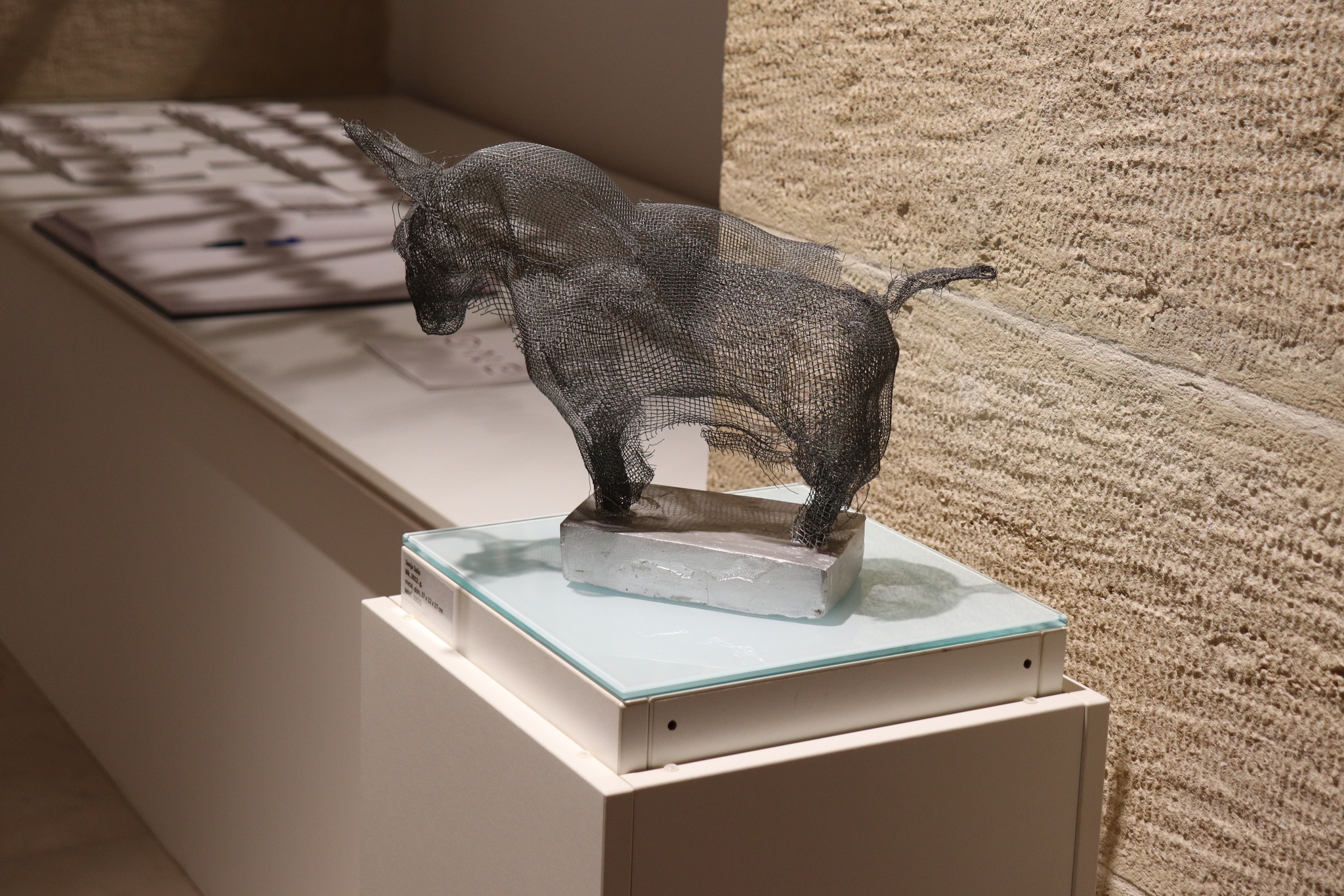 586251859 1454394166687438 6239330932144303584 n