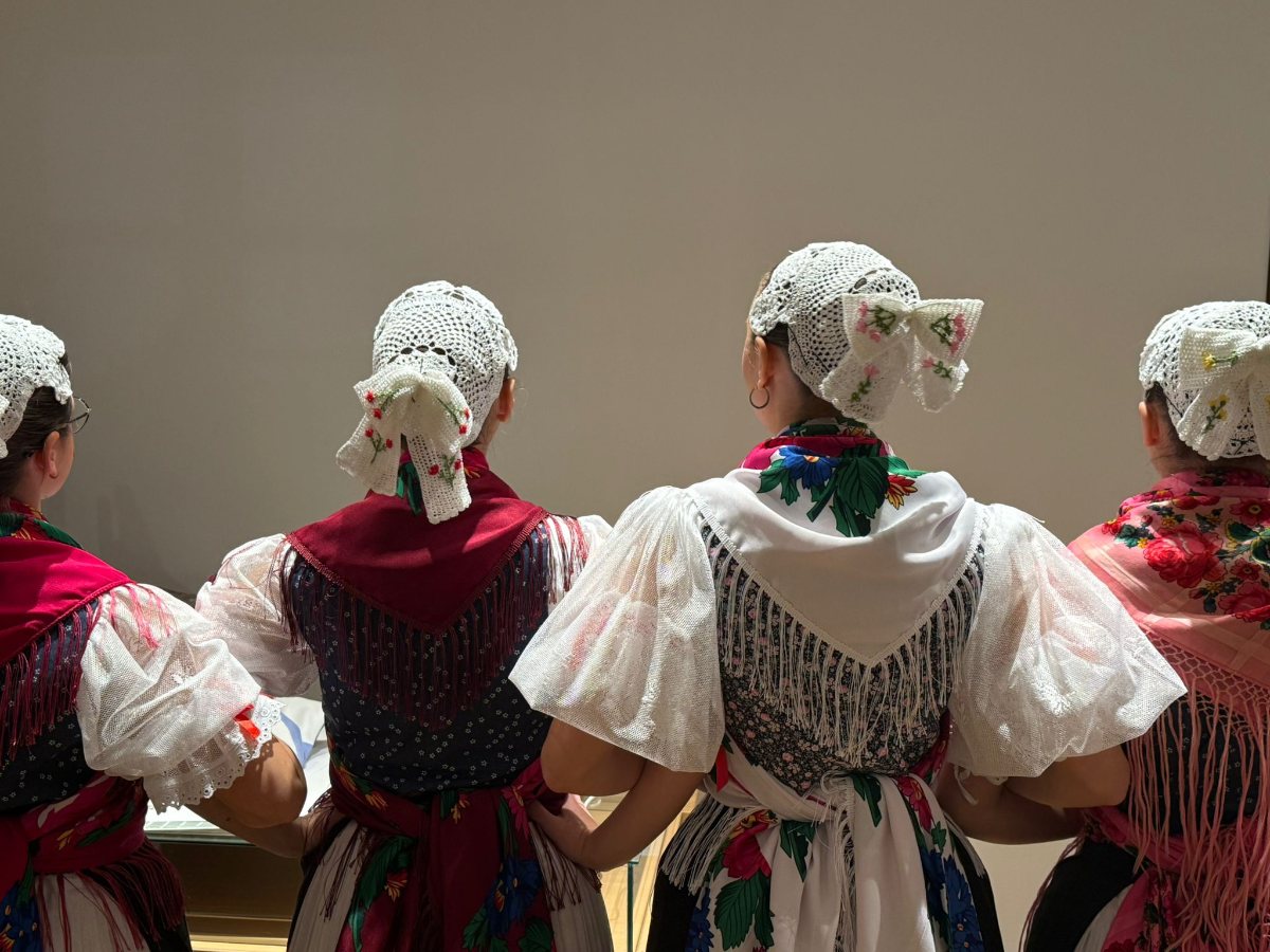 587267336 1424880819645008 3592204049186406023 n