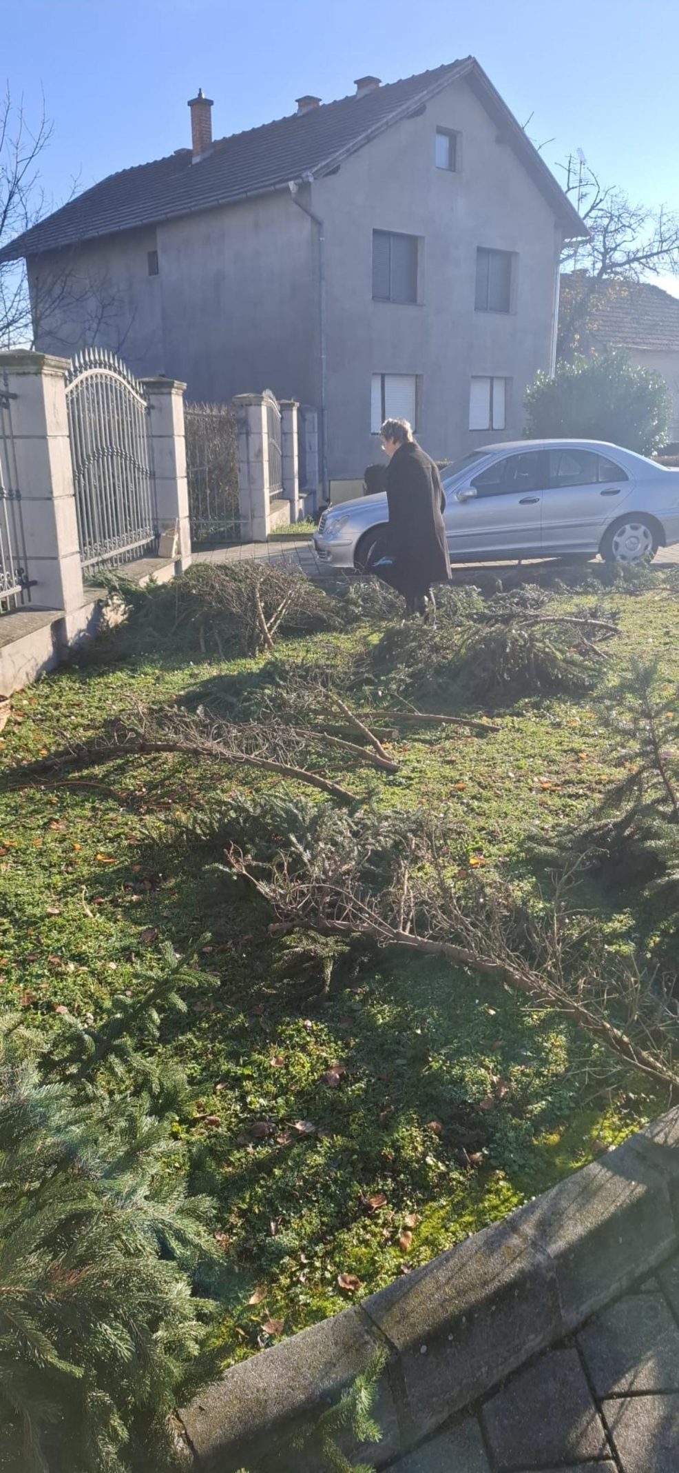 587601177 1289721143193616 6959980647213236113 n