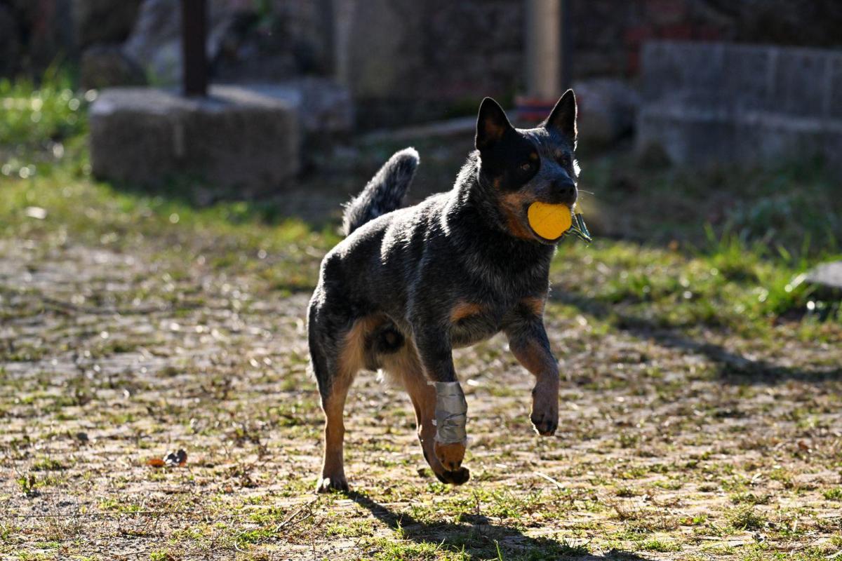 587900043 887384936953261 1228966201253615546 n