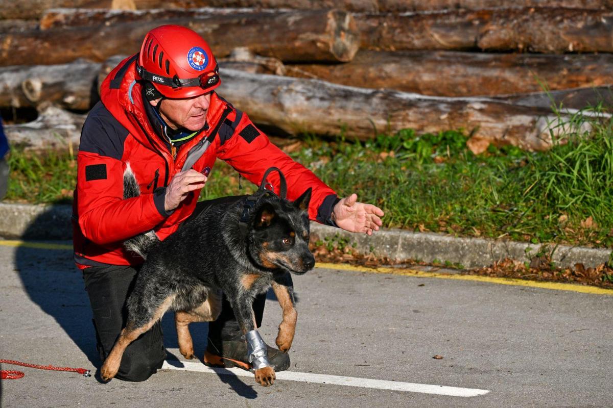 588691578 887384966953258 5463769191351023455 n