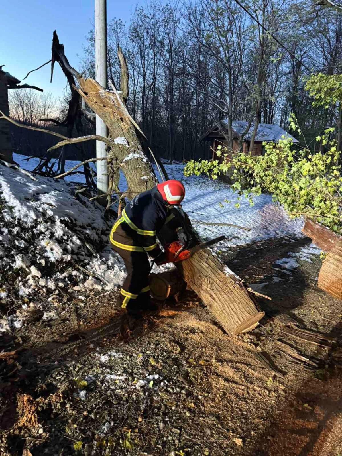 588729230 1333607198808919 5910659387542669263 n