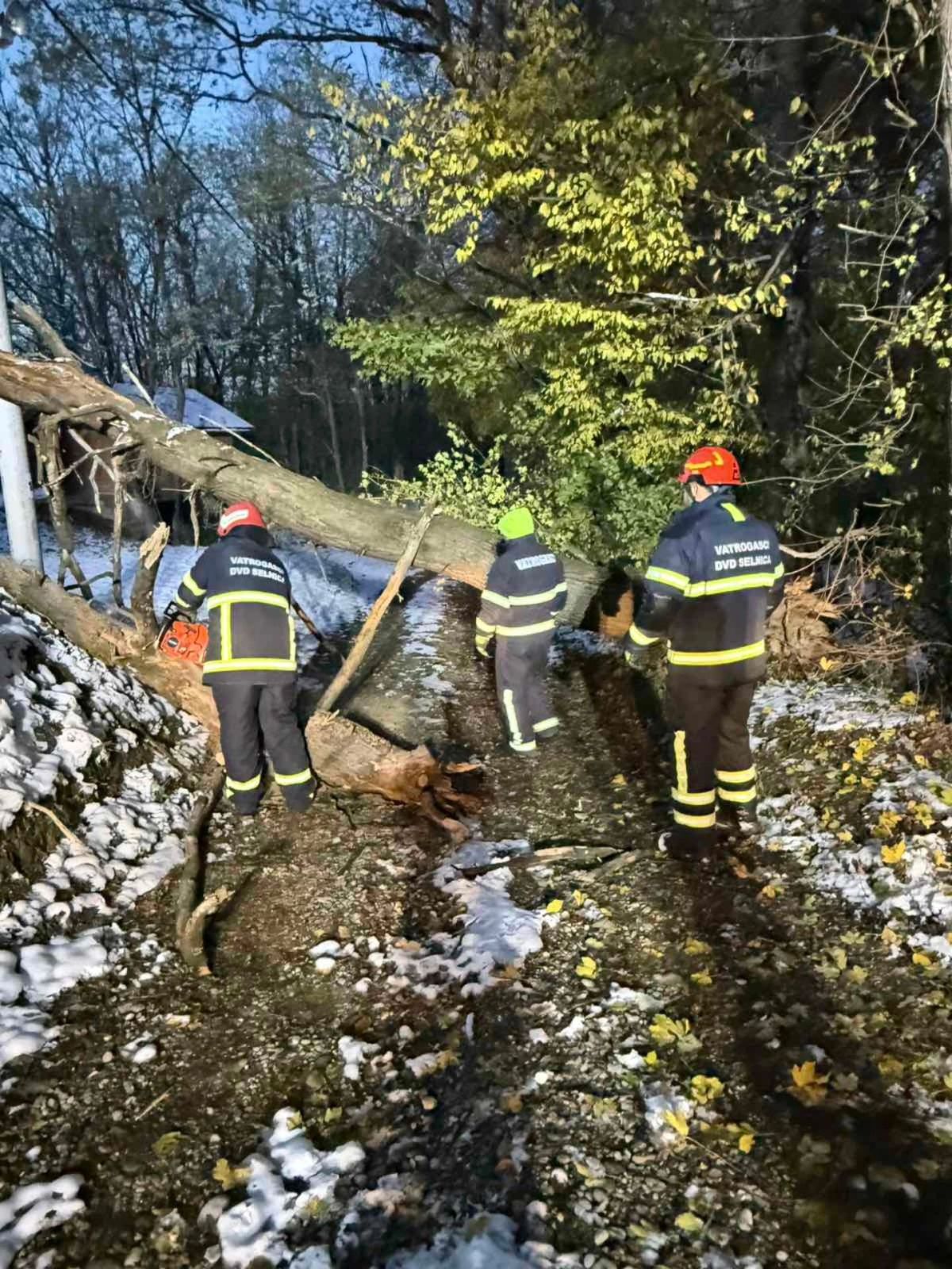 588776495 1333607208808918 6208189083361794254 n