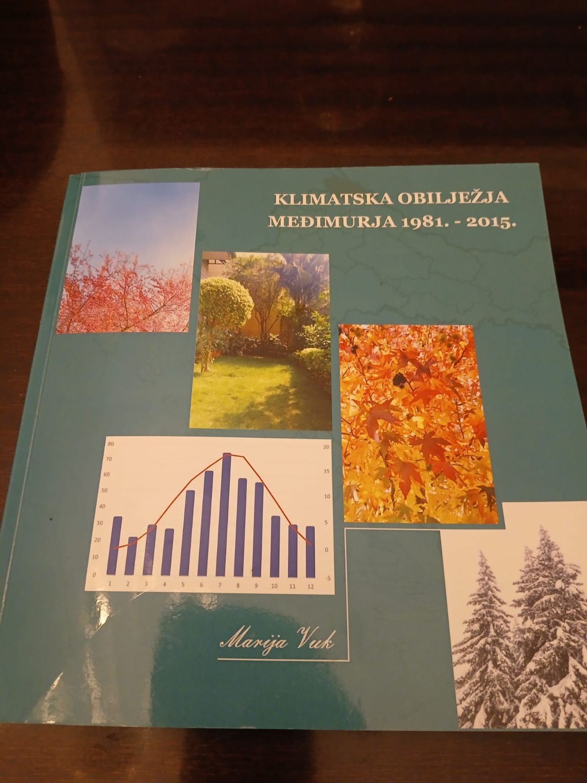 588938087 831056163105051 5974428007737966373 n