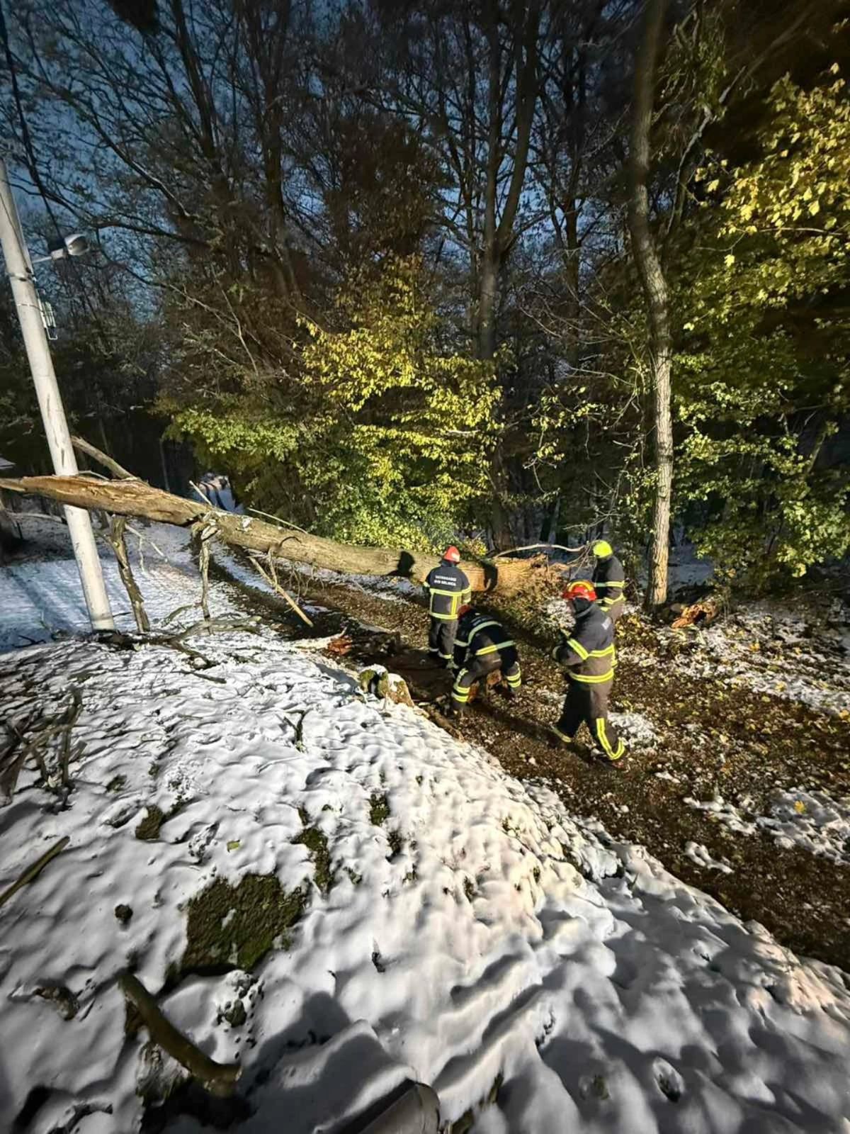 589202772 1333607215475584 840881610829893279 n