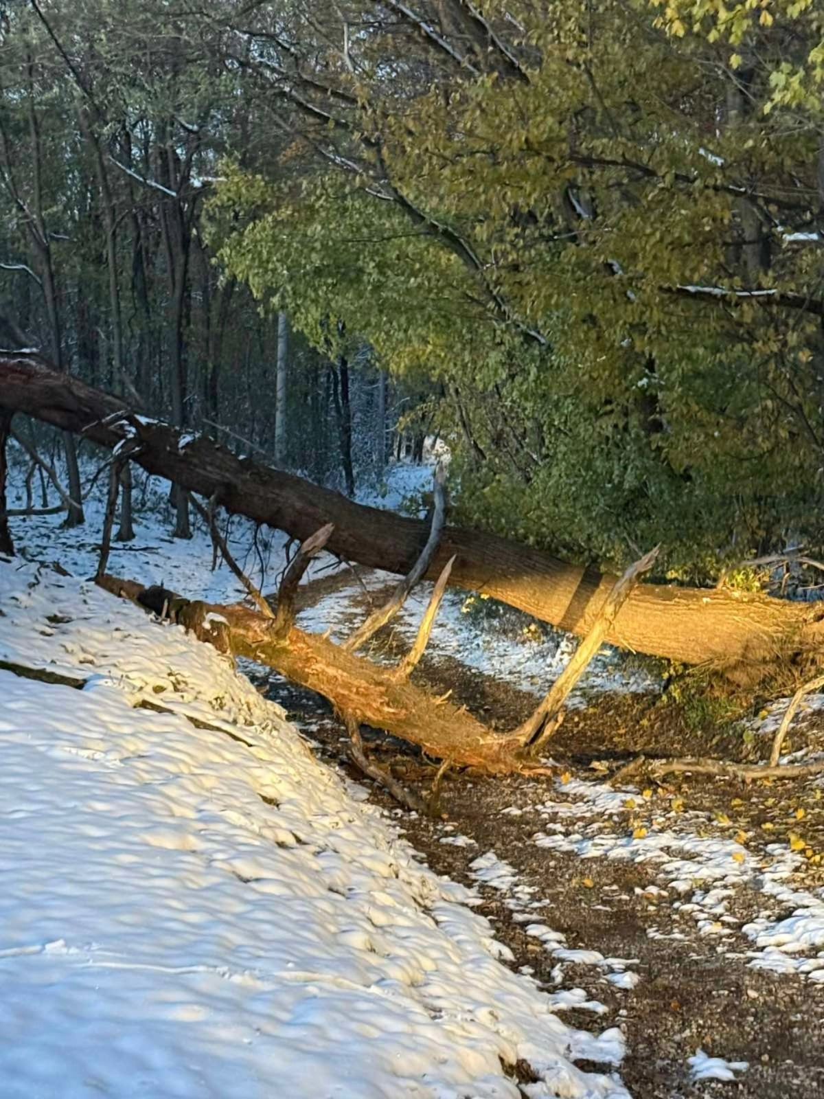 589307738 1333607205475585 1125478953436680551 n