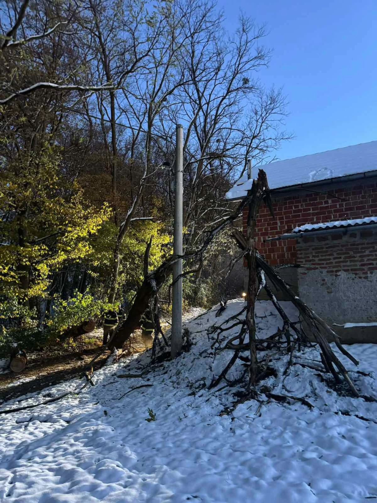 589638798 1333607212142251 2725608493036228785 n (1)