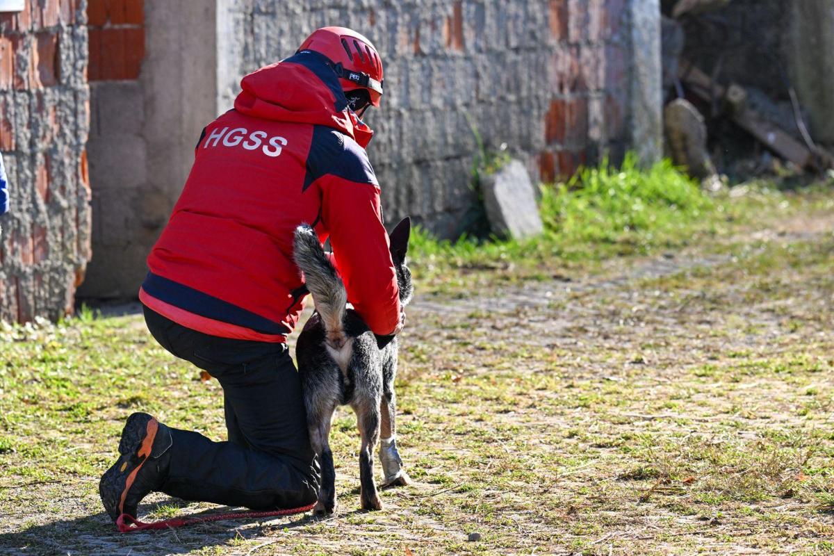 589964575 887384970286591 6476179354083103039 n