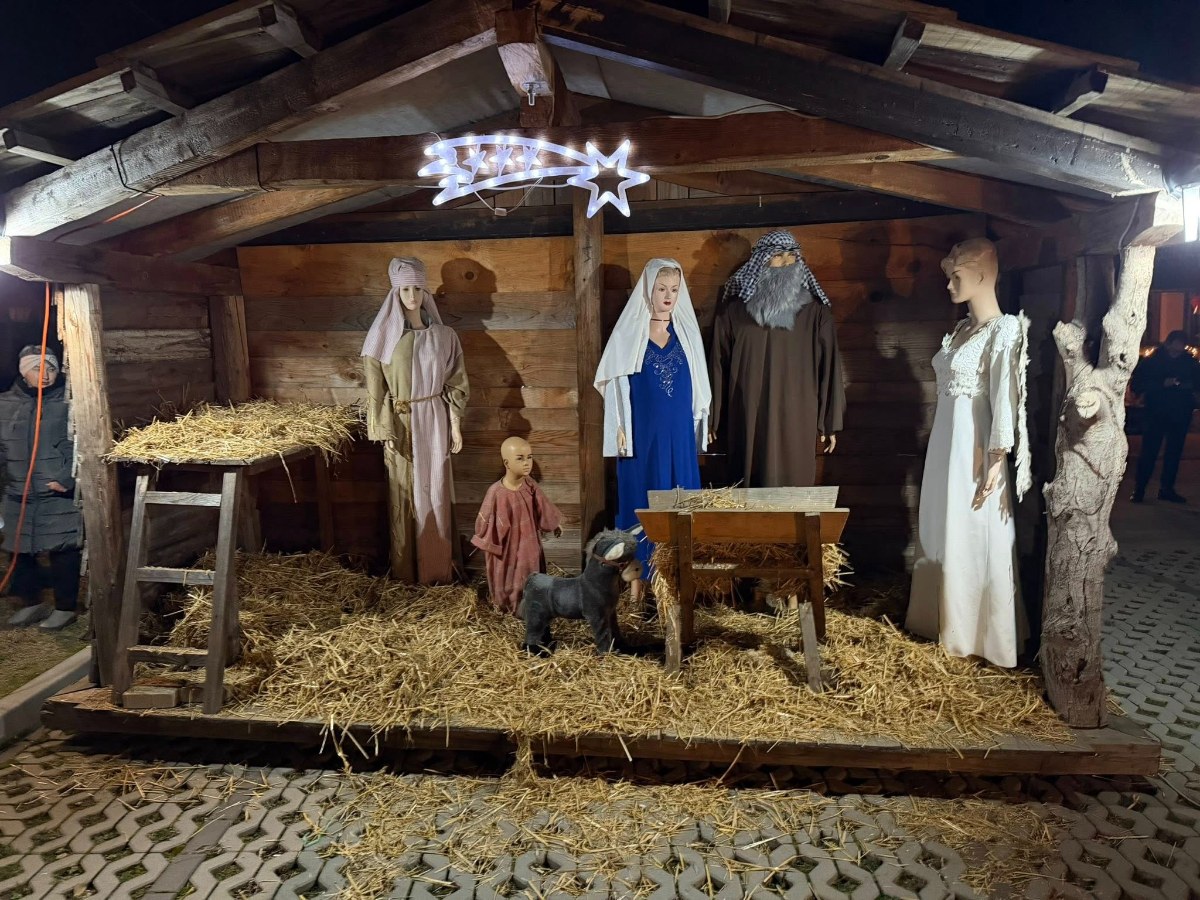 590172241 1334169165390948 8061367694008716564 n