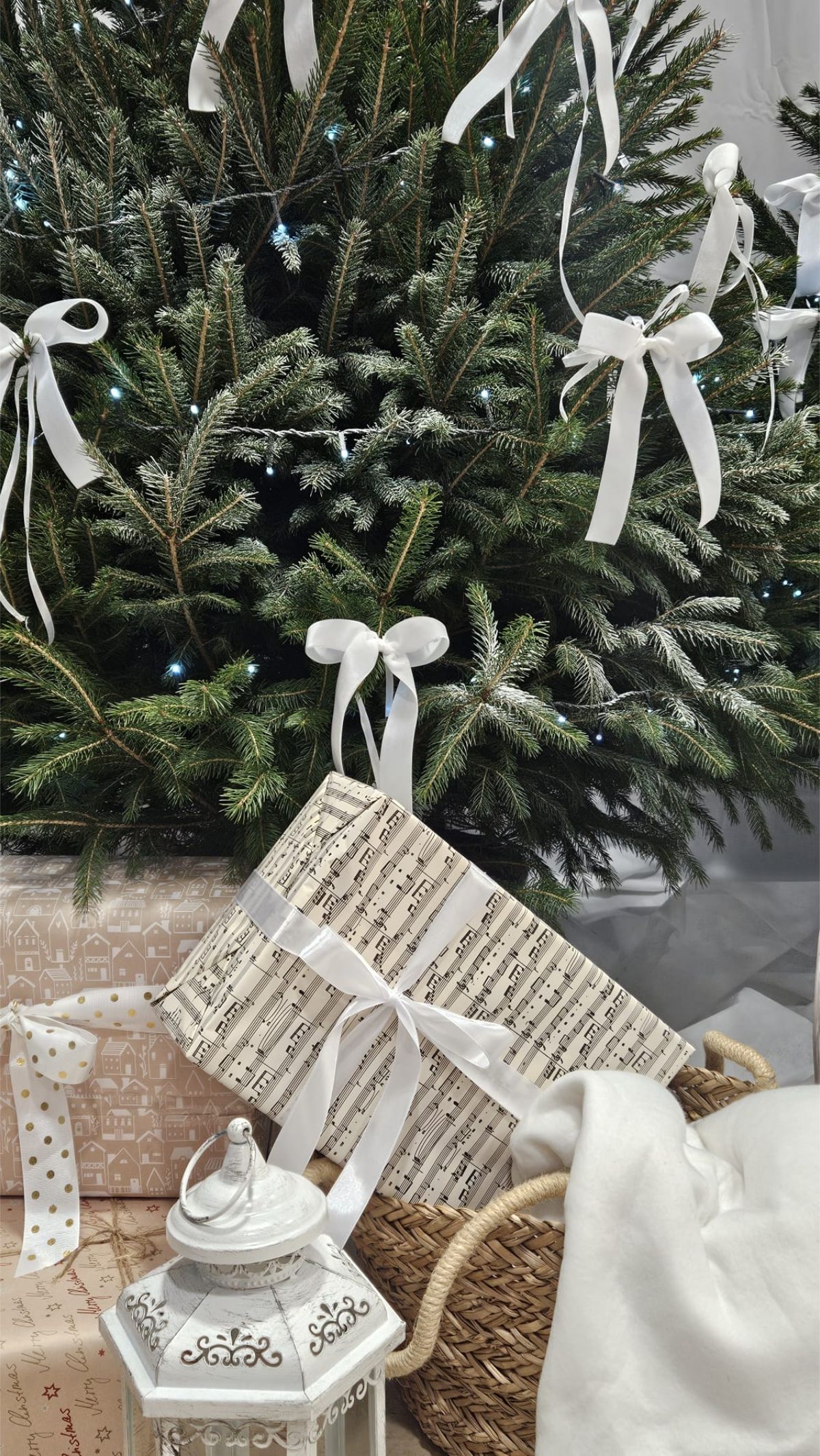 590727032 1416263747166117 7698016613624432280 n