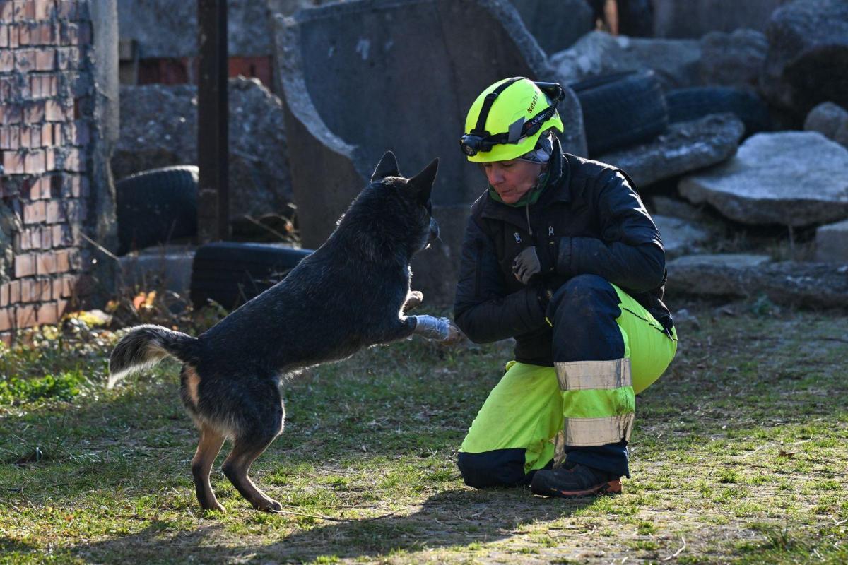 591515742 887384866953268 3256557758923369777 n