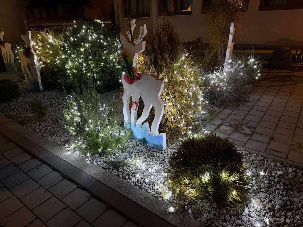 591910559 1334169402057591 6122769218875676435 n