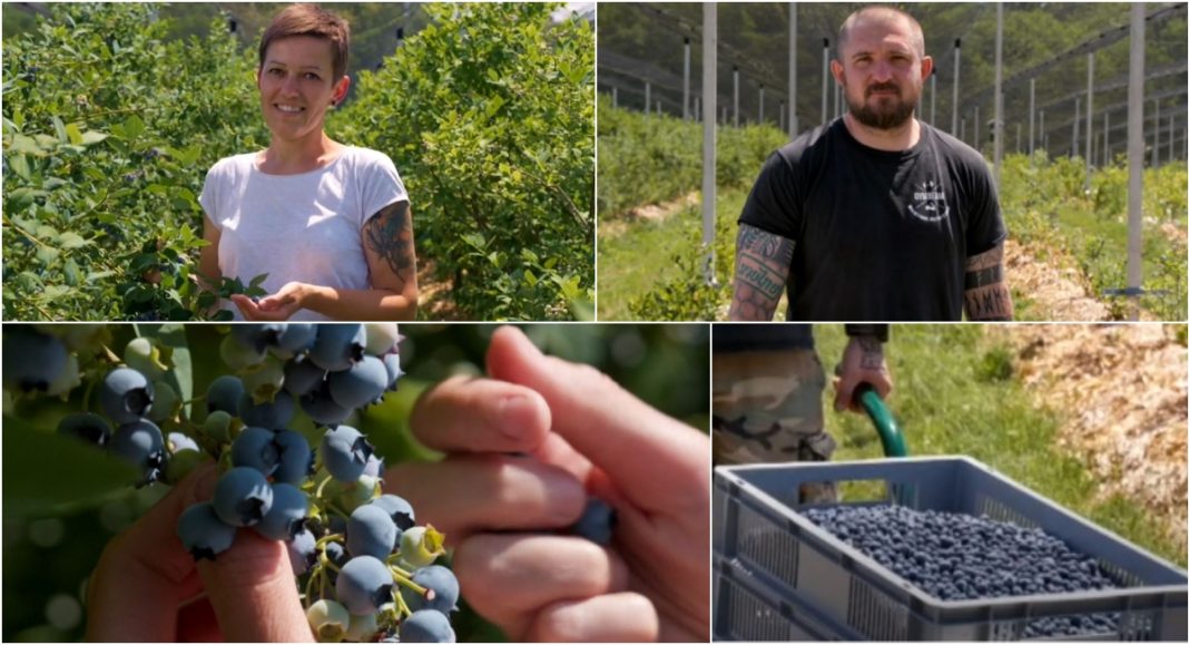 Yaya i Leo iz Šenkovca – obitelj koja živi ritam ekološke poljoprivrede Yaya i Leo iz Šenkovca – obitelj koja živi ritam ekološke poljoprivrede