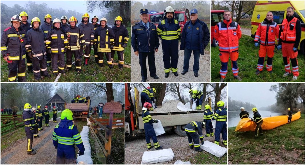 BeFunky collage 2025 11 13T173141.989