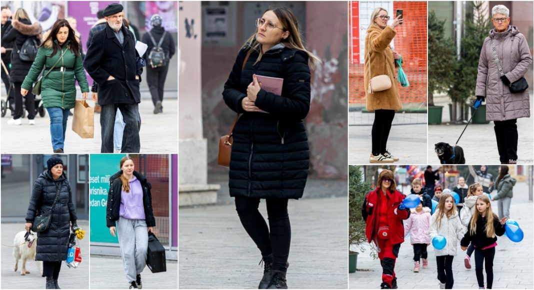 BeFunky collage 2025 11 15T134810.283