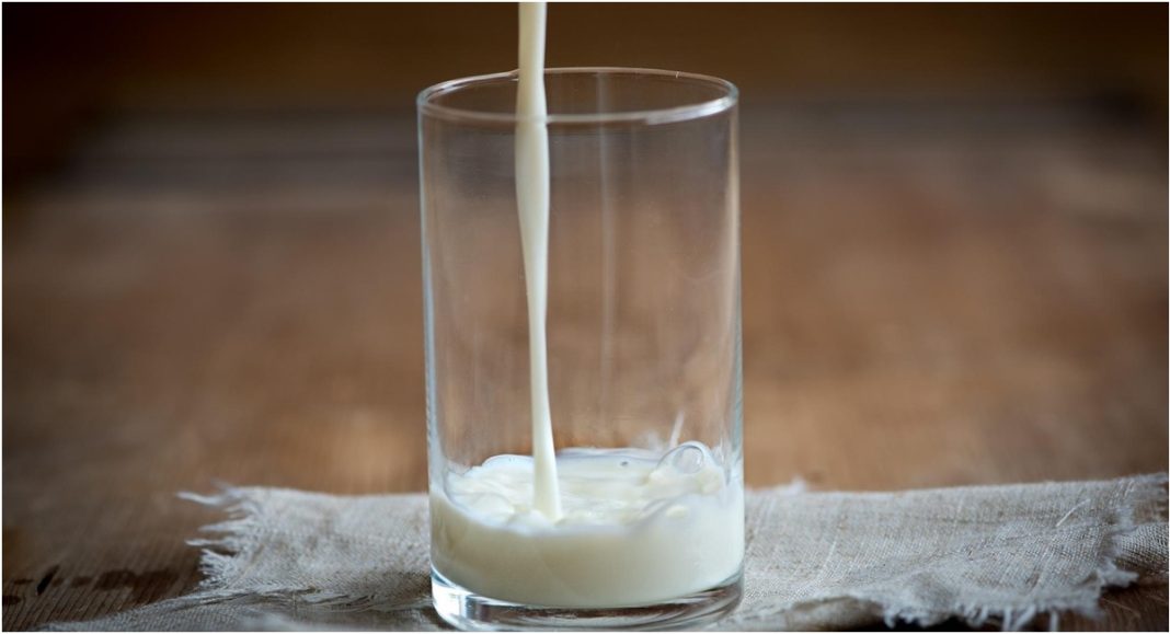 BeFunky collage 2025 11 17T142955.497